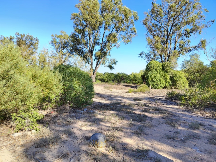 0 Bedroom Property for Sale in Brittania Beach Estate Western Cape